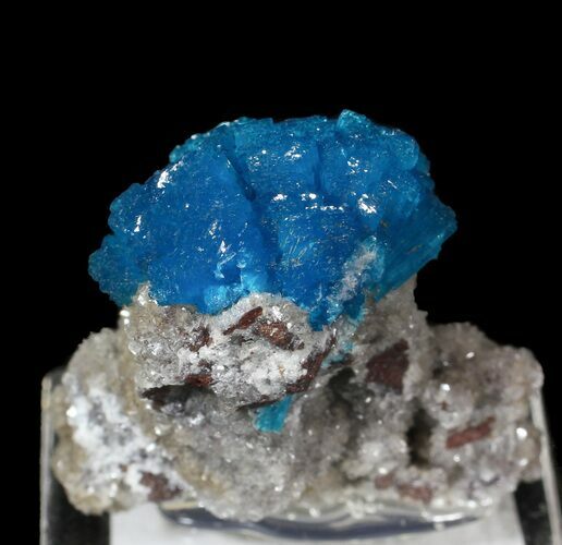 Vibrant Blue Cavansite Cluster on Stilbite - India #62882